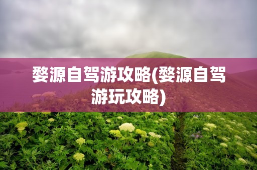 婺源自驾游攻略(婺源自驾游玩攻略)
