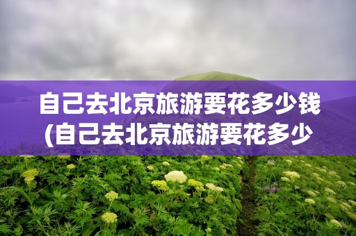 自己去北京旅游要花多少钱(自己去北京旅游要花多少钱呢)