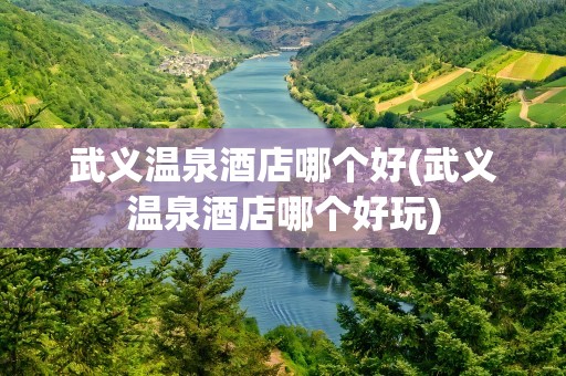 武义温泉酒店哪个好(武义温泉酒店哪个好玩)