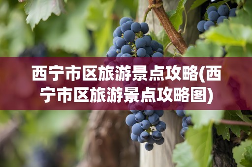 西宁市区旅游景点攻略(西宁市区旅游景点攻略图)