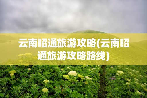 云南昭通旅游攻略(云南昭通旅游攻略路线)