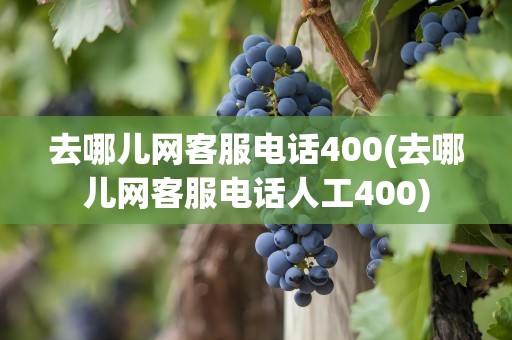 去哪儿网客服电话400(去哪儿网客服电话人工400)