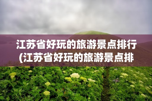 江苏省好玩的旅游景点排行(江苏省好玩的旅游景点排行榜)