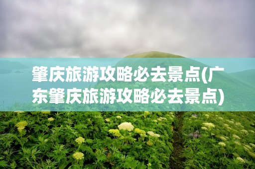 肇庆旅游攻略必去景点(广东肇庆旅游攻略必去景点)