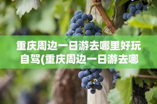 重庆周边一日游去哪里好玩自驾(重庆周边一日游去哪里好玩自驾游)