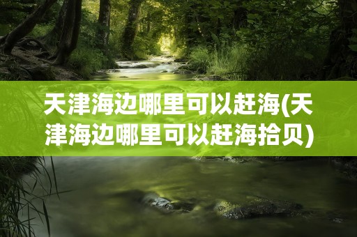 天津海边哪里可以赶海(天津海边哪里可以赶海拾贝)