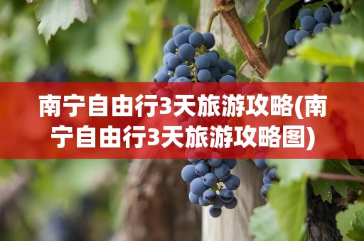 南宁自由行3天旅游攻略(南宁自由行3天旅游攻略图)