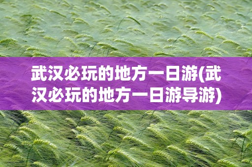 武汉必玩的地方一日游(武汉必玩的地方一日游导游)