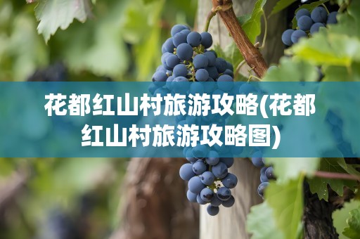 花都红山村旅游攻略(花都红山村旅游攻略图)