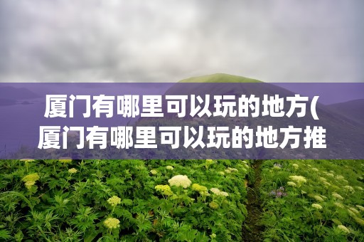 厦门有哪里可以玩的地方(厦门有哪里可以玩的地方推荐)