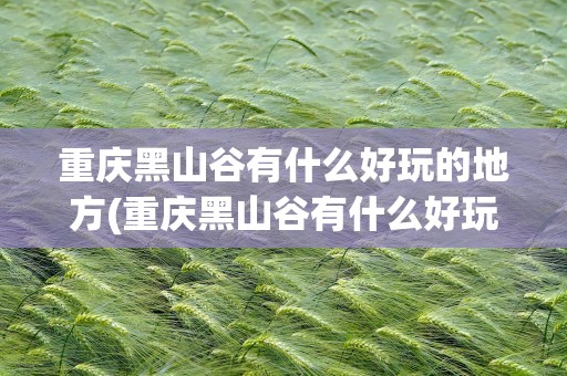 重庆黑山谷有什么好玩的地方(重庆黑山谷有什么好玩的地方吗)