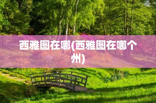 西雅图在哪(西雅图在哪个州)