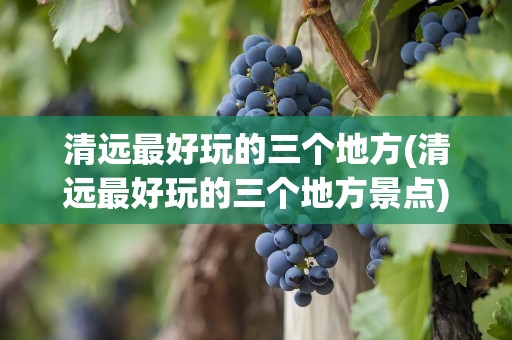 清远最好玩的三个地方(清远最好玩的三个地方景点)