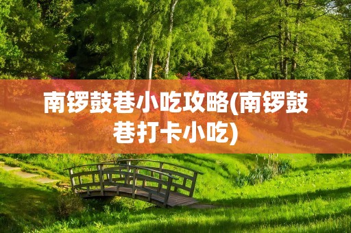 南锣鼓巷小吃攻略(南锣鼓巷打卡小吃)
