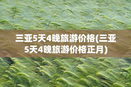 三亚5天4晚旅游价格(三亚5天4晚旅游价格正月)