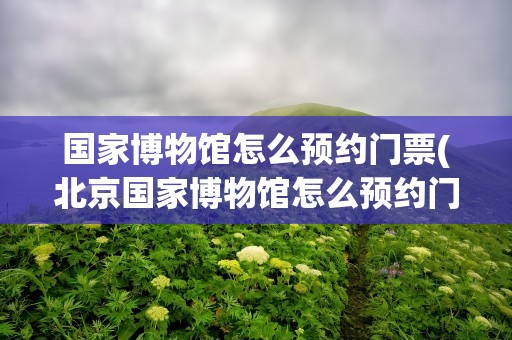国家博物馆怎么预约门票(北京国家博物馆怎么预约门票)