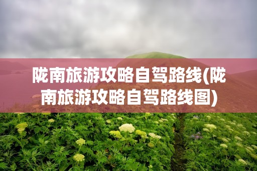 陇南旅游攻略自驾路线(陇南旅游攻略自驾路线图)