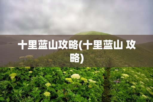十里蓝山攻略(十里蓝山 攻略)