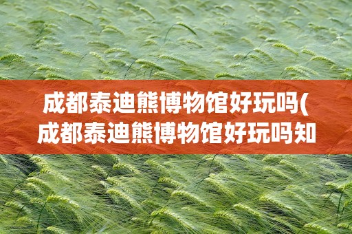 成都泰迪熊博物馆好玩吗(成都泰迪熊博物馆好玩吗知乎)