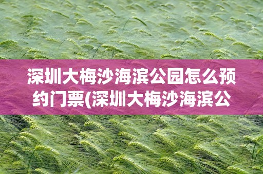 深圳大梅沙海滨公园怎么预约门票(深圳大梅沙海滨公园预约官网)