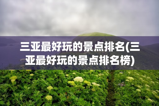 三亚最好玩的景点排名(三亚最好玩的景点排名榜)