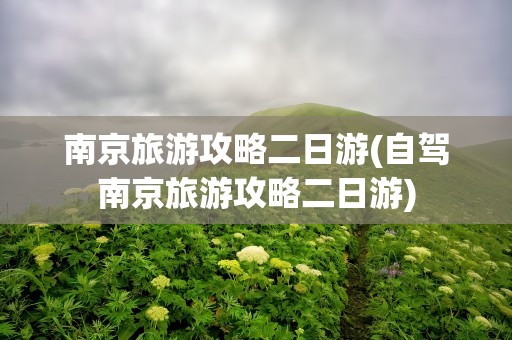 南京旅游攻略二日游(自驾南京旅游攻略二日游)
