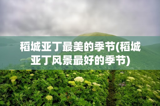 稻城亚丁最美的季节(稻城亚丁风景最好的季节)