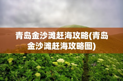 青岛金沙滩赶海攻略(青岛金沙滩赶海攻略图)