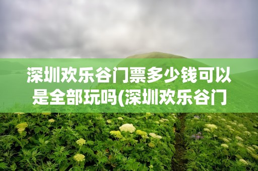 深圳欢乐谷门票多少钱可以是全部玩吗(深圳欢乐谷门票多少钱14岁)
