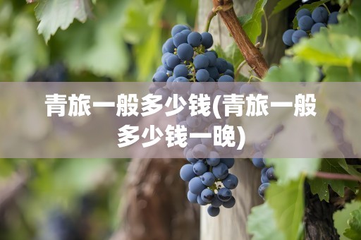 青旅一般多少钱(青旅一般多少钱一晚)