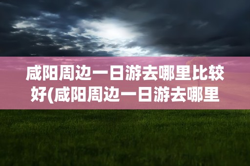 咸阳周边一日游去哪里比较好(咸阳周边一日游去哪里比较好玩)