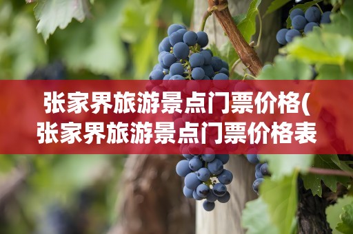 张家界旅游景点门票价格(张家界旅游景点门票价格表)