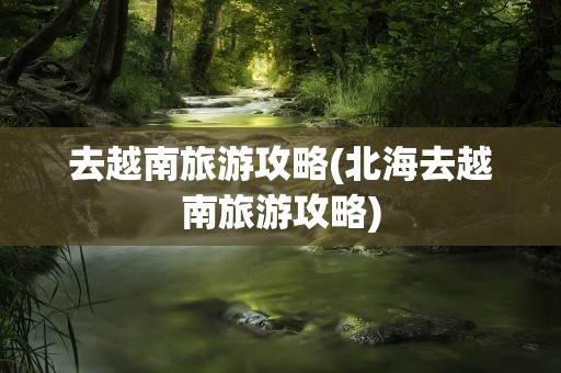 去越南旅游攻略(北海去越南旅游攻略)