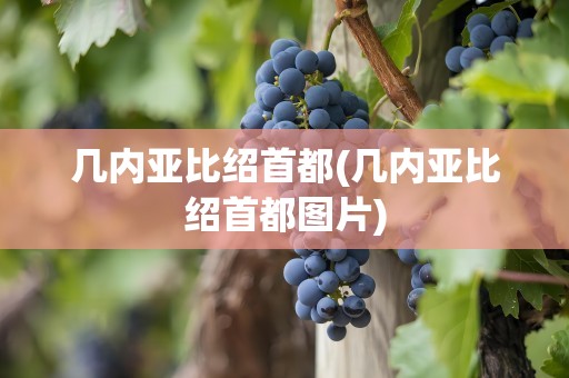 几内亚比绍首都(几内亚比绍首都图片)
