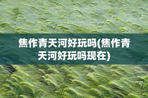 焦作青天河好玩吗(焦作青天河好玩吗现在)