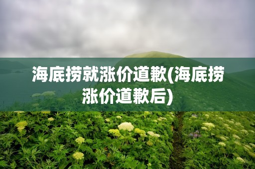 海底捞就涨价道歉(海底捞涨价道歉后)