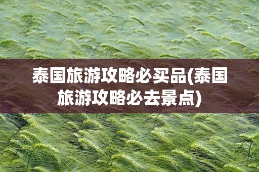 泰国旅游攻略必买品(泰国旅游攻略必去景点)