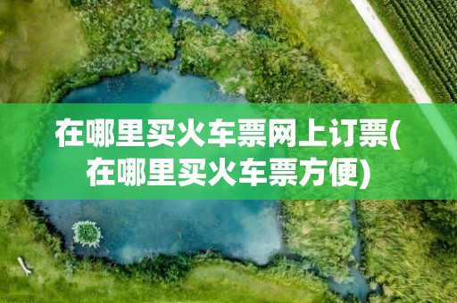 在哪里买火车票网上订票(在哪里买火车票方便)