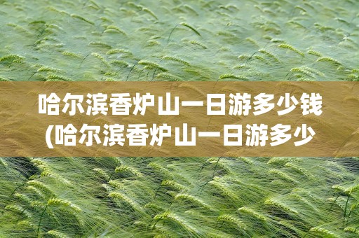 哈尔滨香炉山一日游多少钱(哈尔滨香炉山一日游多少钱啊)