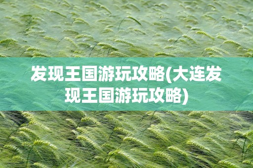发现王国游玩攻略(大连发现王国游玩攻略)
