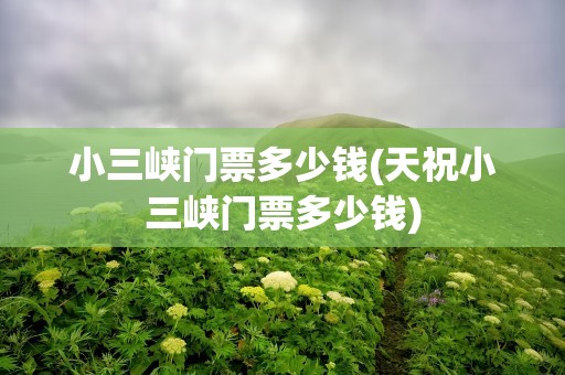 小三峡门票多少钱(天祝小三峡门票多少钱)