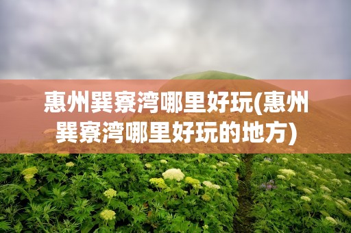 惠州巽寮湾哪里好玩(惠州巽寮湾哪里好玩的地方)