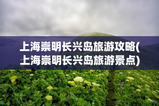 上海崇明长兴岛旅游攻略(上海崇明长兴岛旅游景点)