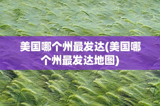 美国哪个州最发达(美国哪个州最发达地图)