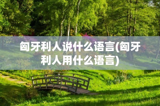 匈牙利人说什么语言(匈牙利人用什么语言)