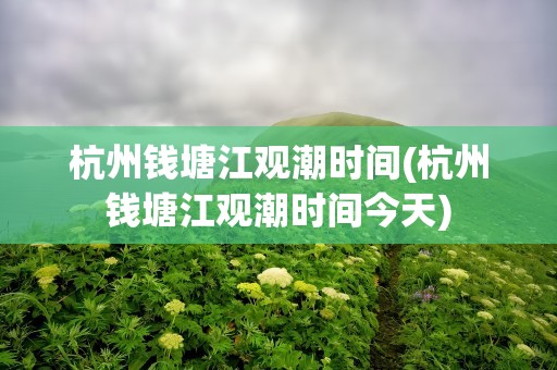 杭州钱塘江观潮时间(杭州钱塘江观潮时间今天)