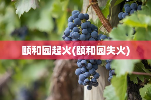颐和园起火(颐和园失火)