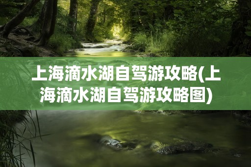上海滴水湖自驾游攻略(上海滴水湖自驾游攻略图)
