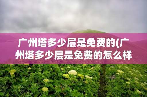 广州塔多少层是免费的(广州塔多少层是免费的怎么样)