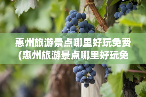惠州旅游景点哪里好玩免费(惠州旅游景点哪里好玩免费的)